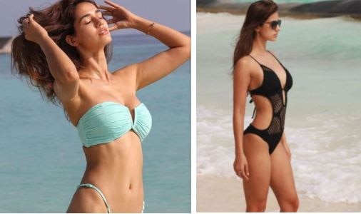 Disha Patani Hot Bikini Photos Taking Heart Out