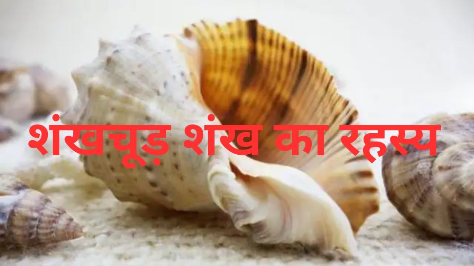 Shankhchud Shankh Amazing Properties Conch Why Conch Water Dear To Lord