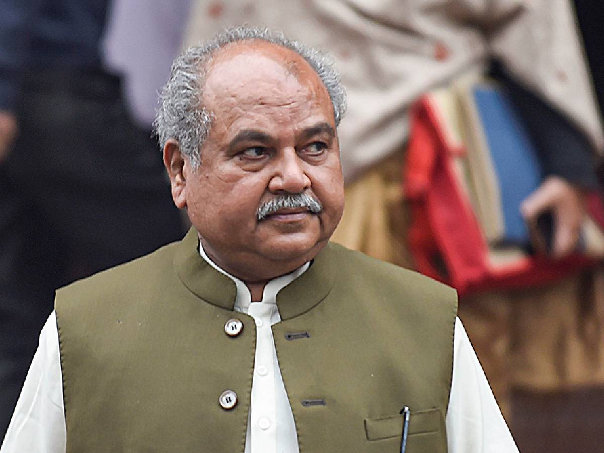 Narendra Singh Tomar Dimani Vidhan Sabha Candidate Madhya Pradesh