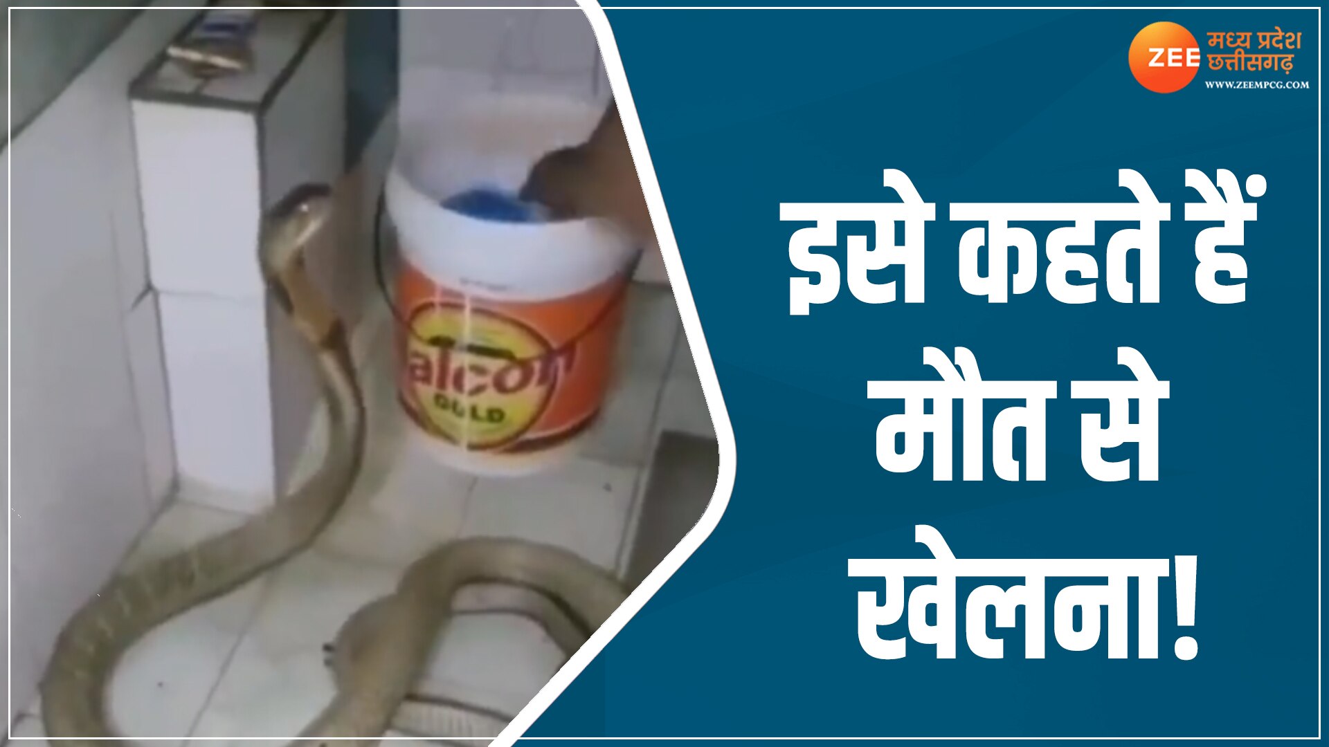 King Cobra Snake Taking Bath In Washroom Shocking Video Viral On