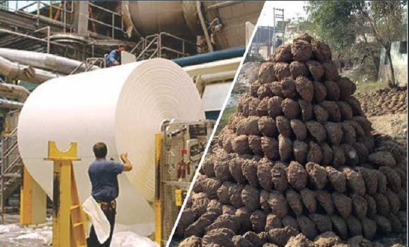 Government is giving funds for the business of making paper from cow dung |  गोबर गणेश के जरिए बनाइए लक्ष्मी | Hindi News, खबरें काम की