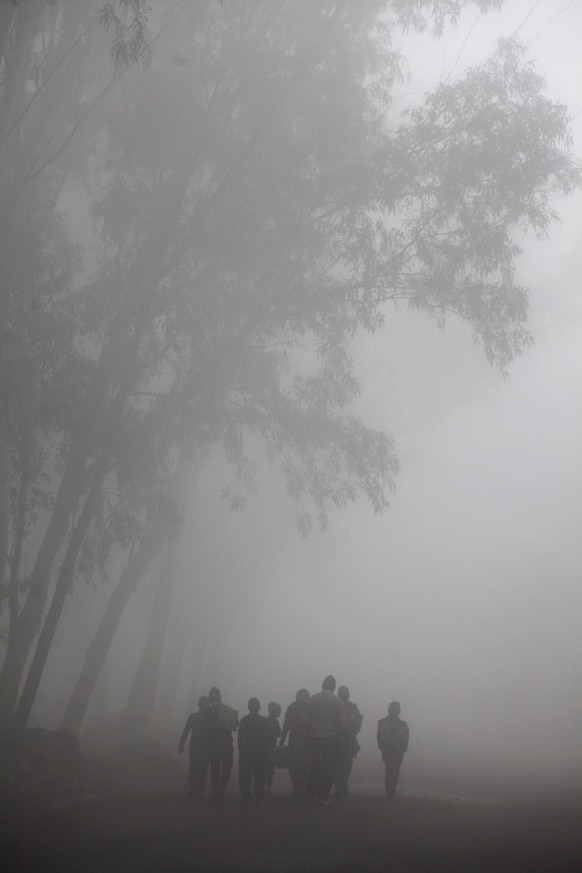 जम्मू में कोहरे की धुंध में स्कूल जाते बच्चे।