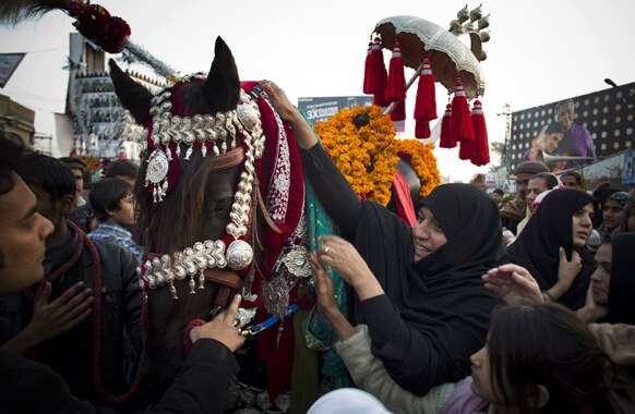 पाकिस्तान में एक परंपरा के दौरान घोड़े को सजाते हुए लोग।