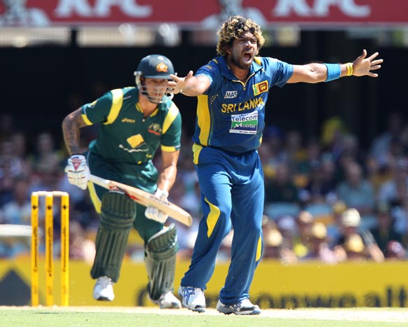 ब्रिसबेन वनडे में ऑस्ट्रेलियाई टीम 74 रनों की पारी पर आलआउट हो गई।