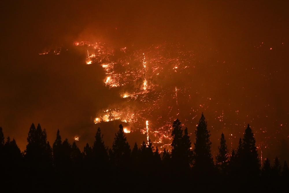 कैलिफ के जंगलों में लगी भीषण आग का दृश्य।