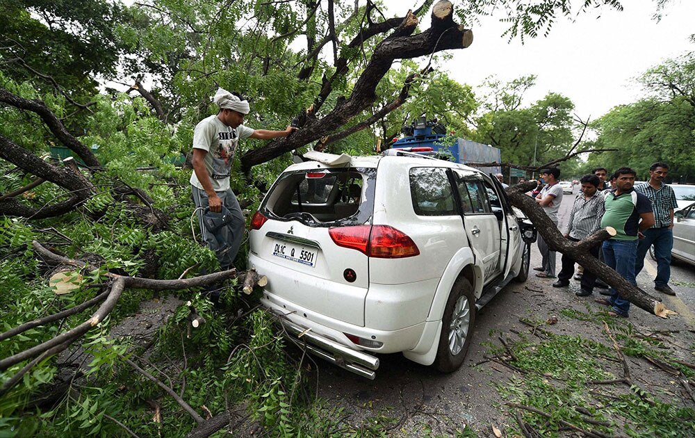 नई दिल्ली में शुक्रवार शाम आए अंधड़ में एक कार पर गिरे पेड़ को हटाते लोग।