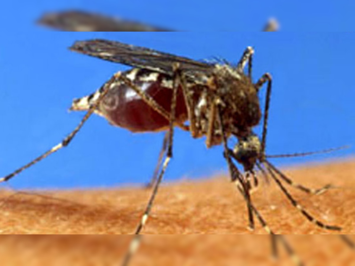 डेंगू से बचाने के लिए आएगा टीका