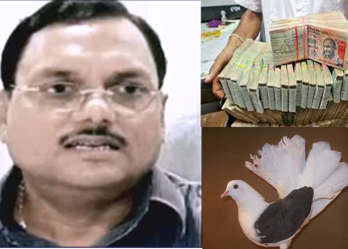 1,000 करोड़ का मालिक है यादव सिंह, पार्क में पाले थे कबूतर, पढ़ें, क्या है 30% का खेल? 1,000 करोड़ का मालिक है यादव सिंह, पार्क में पाले थे कबूतर, पढ़ें, क्या है 30% का खेल?