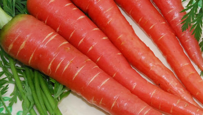 carrot is very beneficiary for health | गुणों का खजाना होने के साथ गाजर यौन  शक्तिवर्धक टॉनिक भी | Hindi News, Health