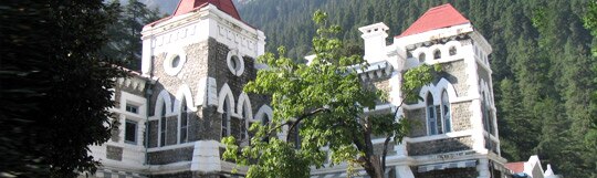 उत्तराखंड हाईकोर्ट का फैसला, जानवर के काटने पर दिया मुआवजा उत्तराखंड हाईकोर्ट का फैसला, जानवर के काटने पर दिया मुआवजा