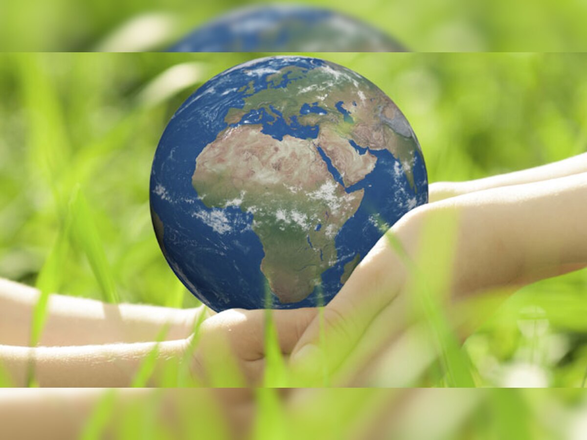 विश्व पर्यावरण दिवस : इन उपायों से करें पर्यावरण संरक्षण 