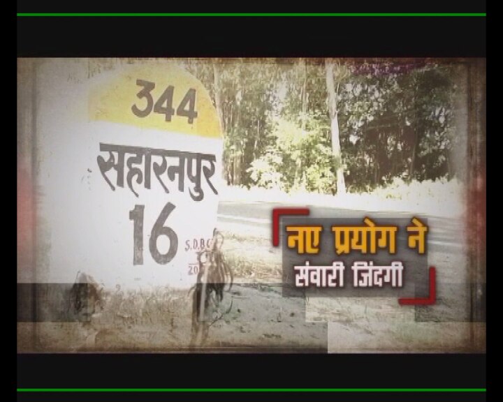एलोवेरा के एक आइडिया ने ऐसे बदल दी छुटमलपुर की जिंदगी एलोवेरा के एक आइडिया ने ऐसे बदल दी छुटमलपुर की जिंदगी