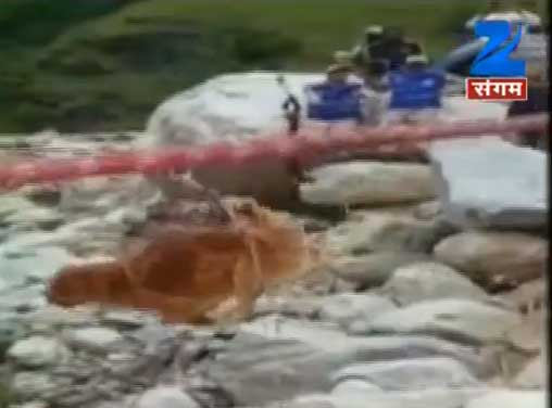 आईटीबीपी के जवानों ने गंगा नदी में फंसे कुत्ते को सुरक्षित बचाया आईटीबीपी के जवानों ने गंगा नदी में फंसे कुत्ते को सुरक्षित बचाया