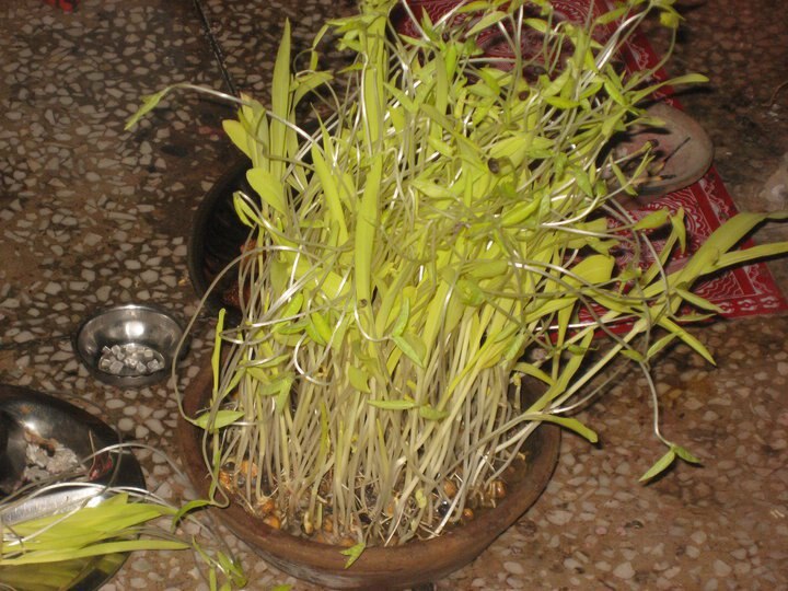 समाजवादी मूल्यों का पर्व है 'हरेला' समाजवादी मूल्यों का पर्व है 'हरेला'