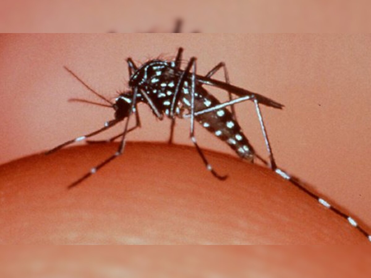 दिल्ली में डेंगू से निपटने को किए गए उपायों का होगा ऑडिट