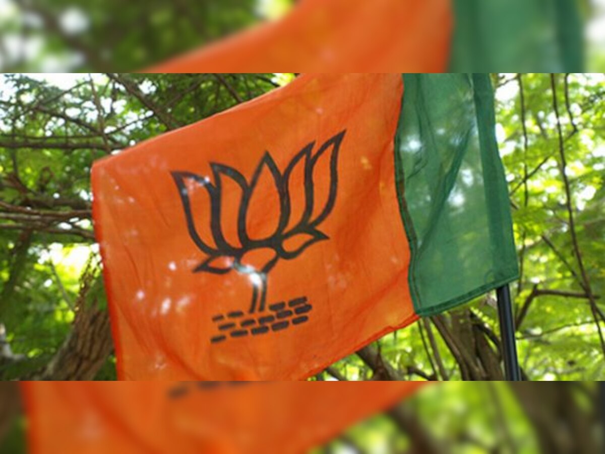 बिहार चुनाव में BJP की हार का यह रहा सबसे बड़ा 'कारण'