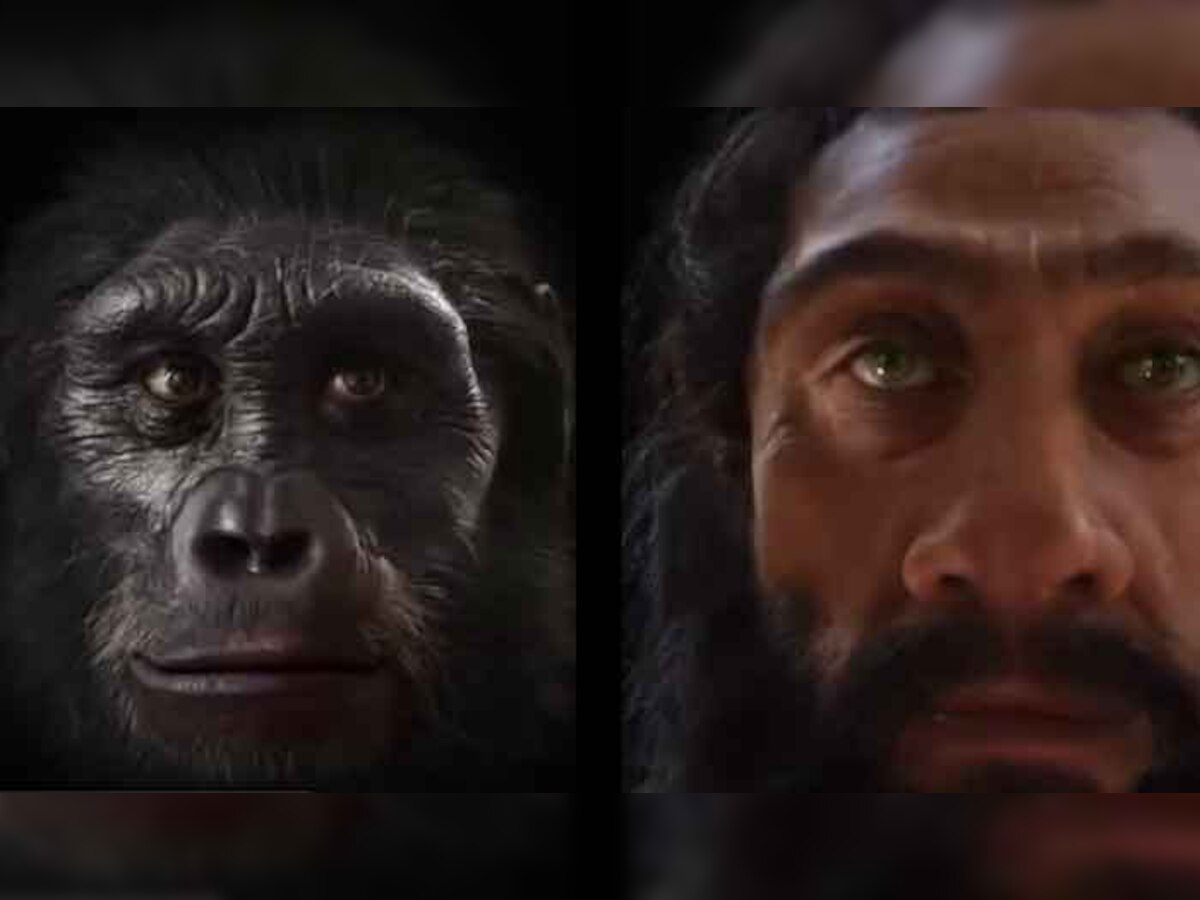 1 मिनट 33 सकेंड में जानिए, बंदर से इंसान बनने की कहानी