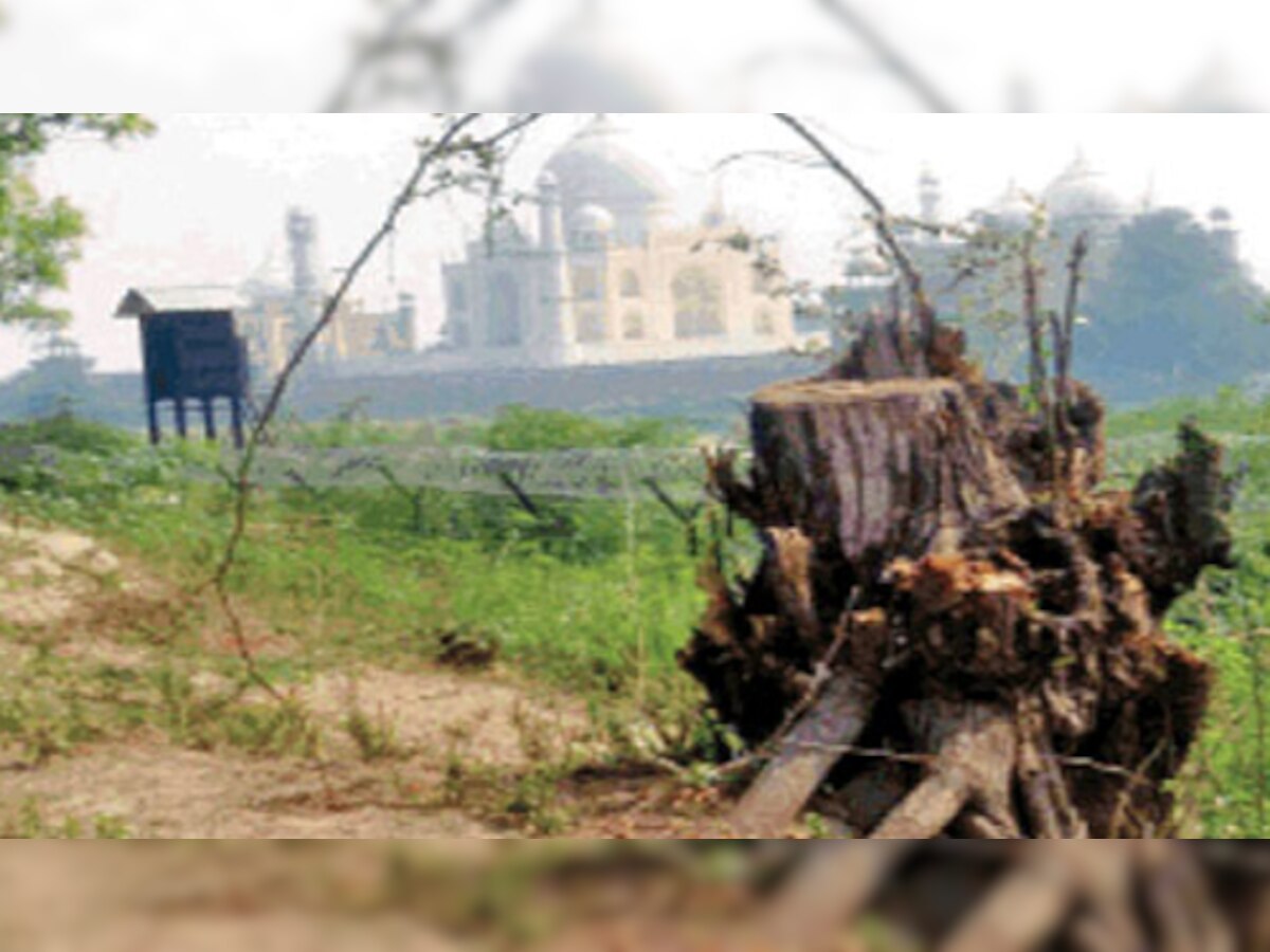 ताज के निकट पेड़ों की कटाई पर एनजीटी सख्त, रिपोर्ट तलब
