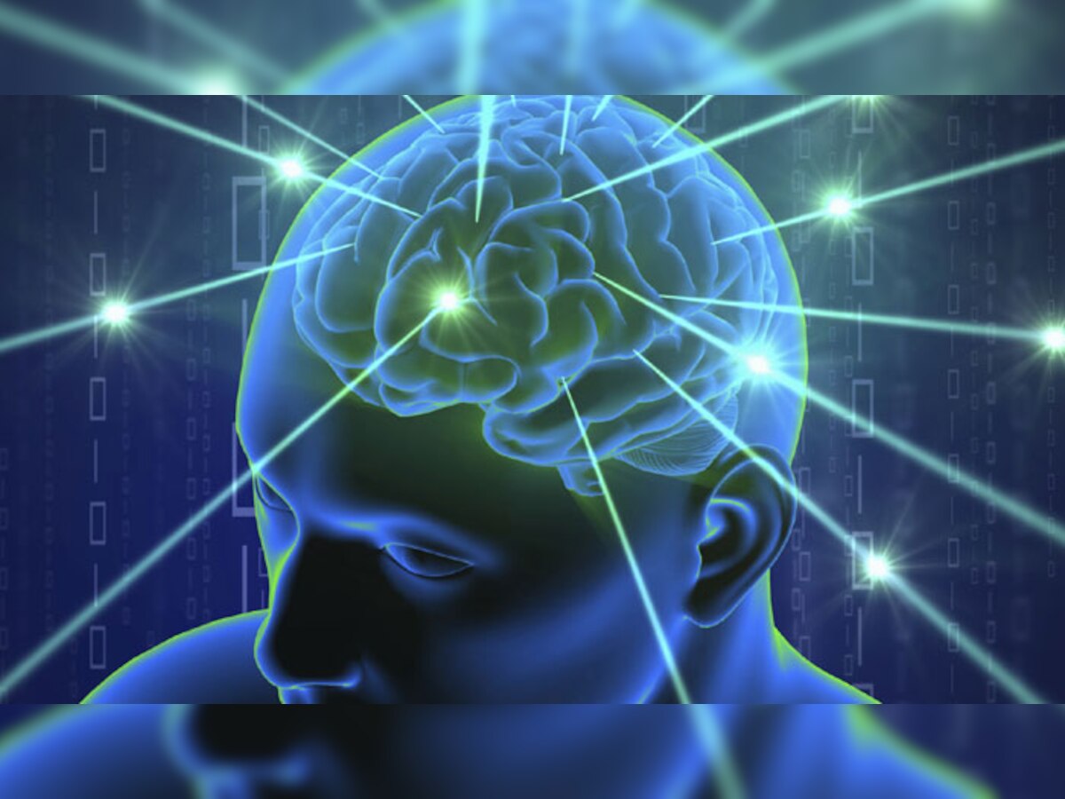 हमारे मस्तिष्क का ‘विशिष्टता’ याददाश्त और बौद्धिकता को करता है प्रभावित 