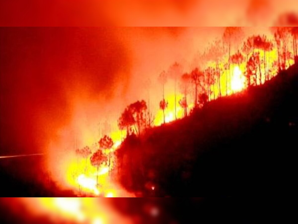 'उत्तराखंड में धीरे-धीरे काबू हो रही है जंगल में फैली भयानक आग'