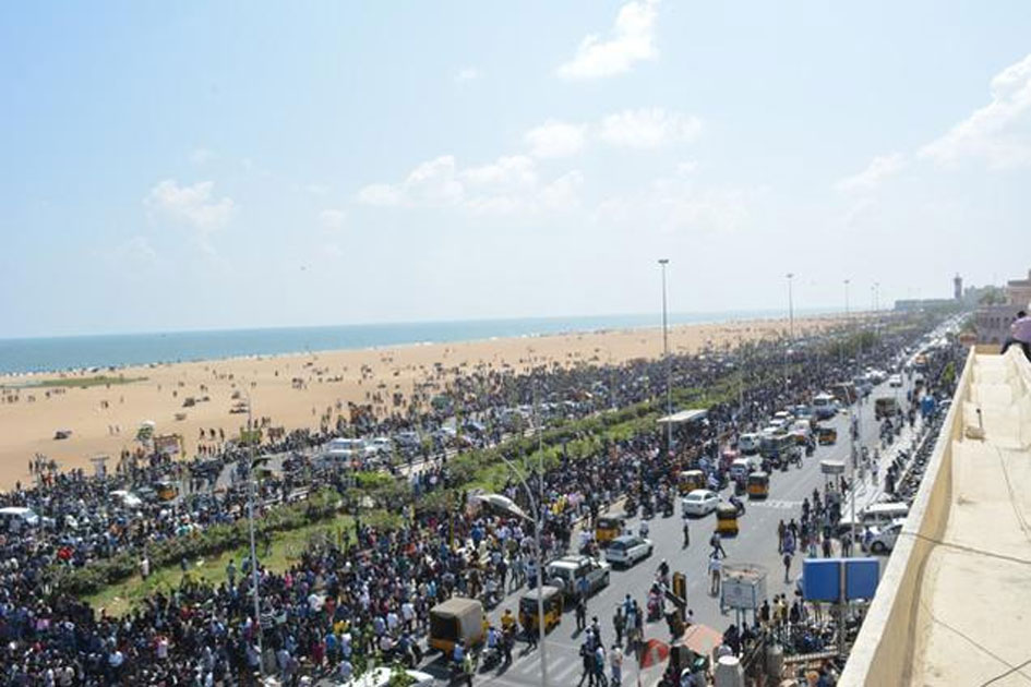 Jallikattu Protest in Tamil Nadu Jallikattu Protest in Tamil Nadu