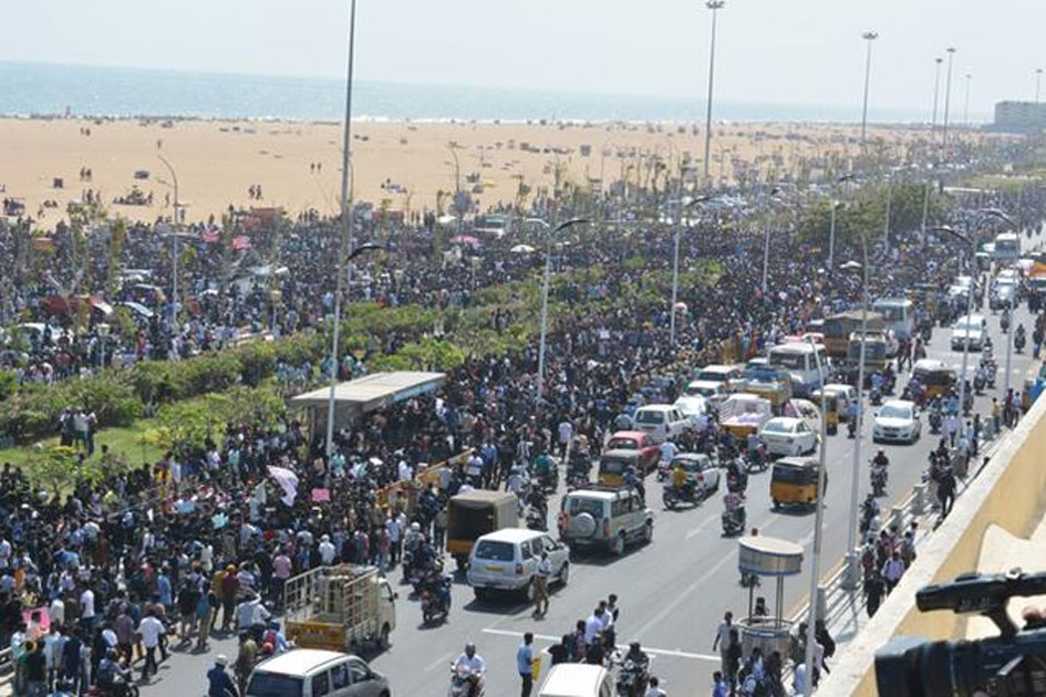 Jallikattu Protest in Tamil Nadu Jallikattu Protest in Tamil Nadu