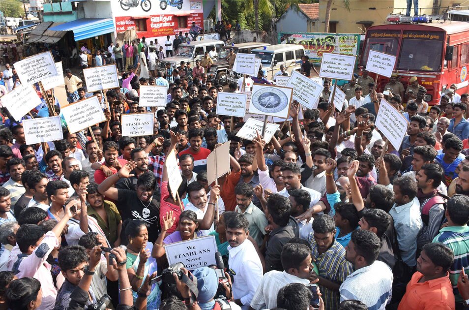 Protest against Jallikattu ban in Madurai Protest against Jallikattu ban in Madurai