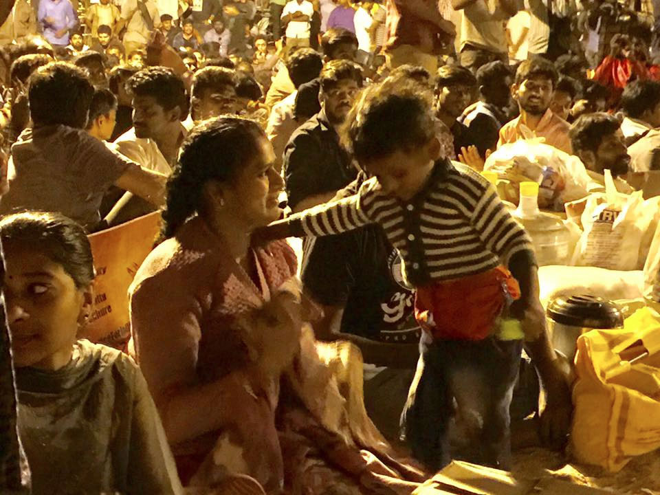 Jallikattu Protest in Tamil Nadu Jallikattu Protest in Tamil Nadu