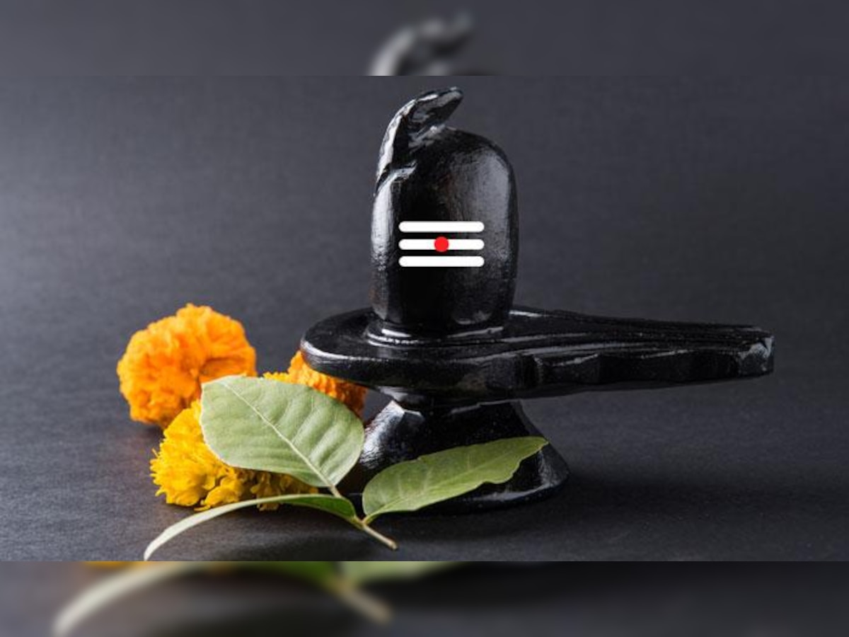 Never offer to Lord shiva These Five Things on Maha Shivaratri ...