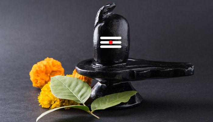 Never offer to Lord shiva These Five Things on Maha Shivaratri ...