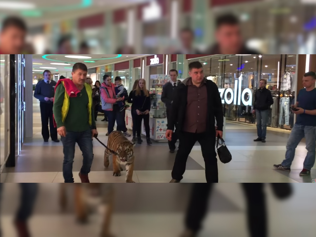 शॉपिंग मॉल में बाघ को टहलता देख आप भी हो जाएंगे हैरान, देखें Video  (photo: Youtube)