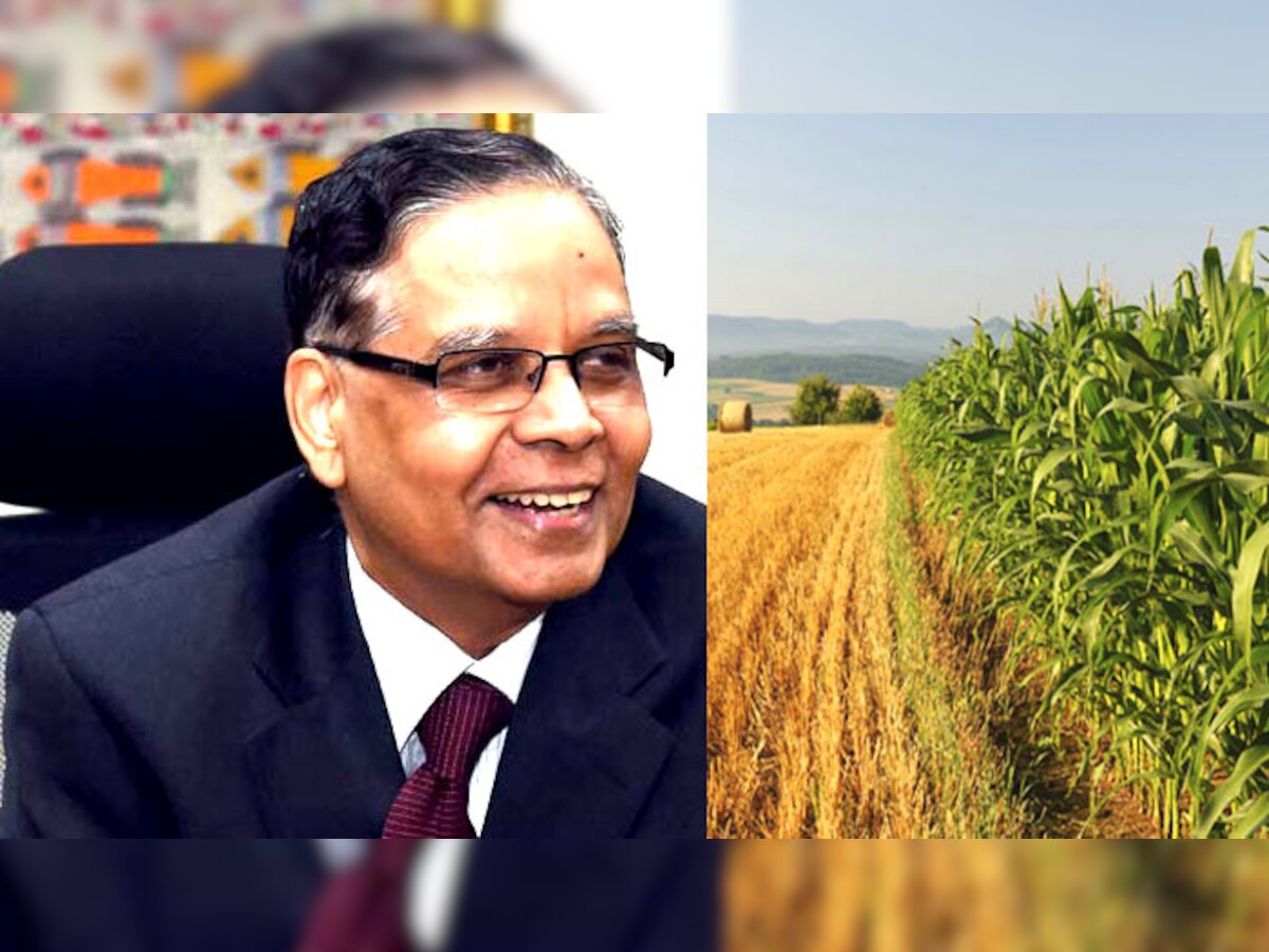 नीति आयोग के उपाध्यक्ष अरविंद पनगढ़िया बोले कृषि आय पर कर लगाने का सवाल ही नहीं