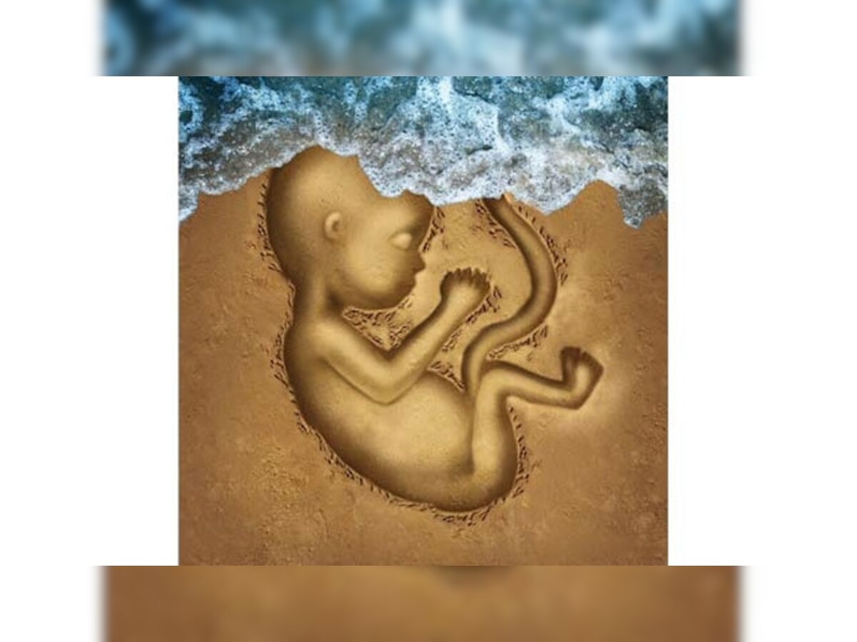 पति-देवर ने गर्भवती का पेट दबाकर निकाला सात महीने का कन्या भ्रूण (प्रतिकात्मक तस्वीर)