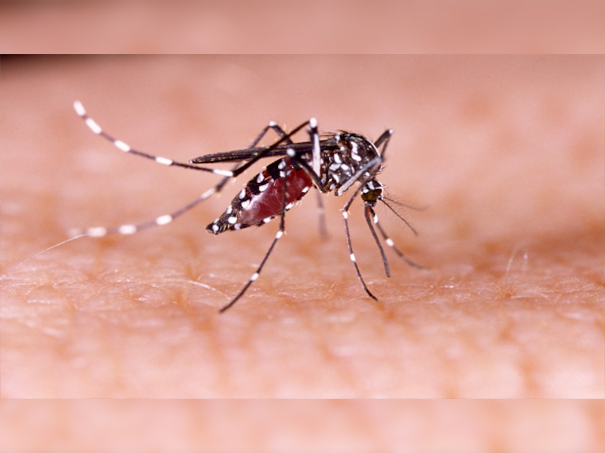  दिल्ली में मलेरिया के 162 मामले दर्ज किए गए हैं. (प्रतीकात्मक तस्वीर)