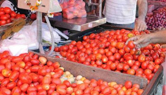 Tomato Prices Rs 100 Per Kg in Chattisgarh Others Vegetables Price Also On Sky | छत्तीसगढ़ में टमाटर 100 रुपया किलो, अन्य सब्ज़ियों के दाम भी आसमान पर | Hindi News, बिजनेस