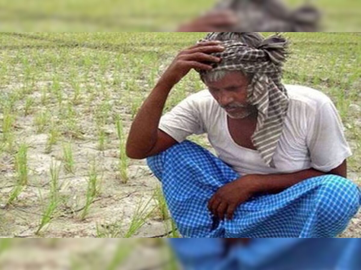मध्यप्रदेशः पिछले 13 साल में 15,129 किसानों एवं खेतीहर मजदूरों ने की आत्महत्या (सांकेतिक चित्र-पीटीआई)
