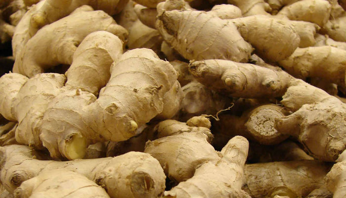 chew ginger with salt in problem of cough and sore