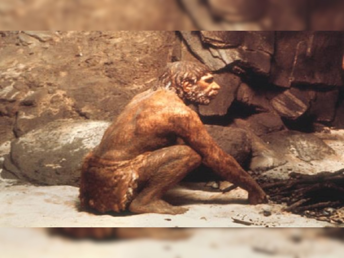 अध्ययन के अनुसार मानव करीब 60,000 से 65000 वर्ष पहले ऑस्ट्रेलिया से होकर गुजरे थे. (प्रतीकात्मक फोटो)