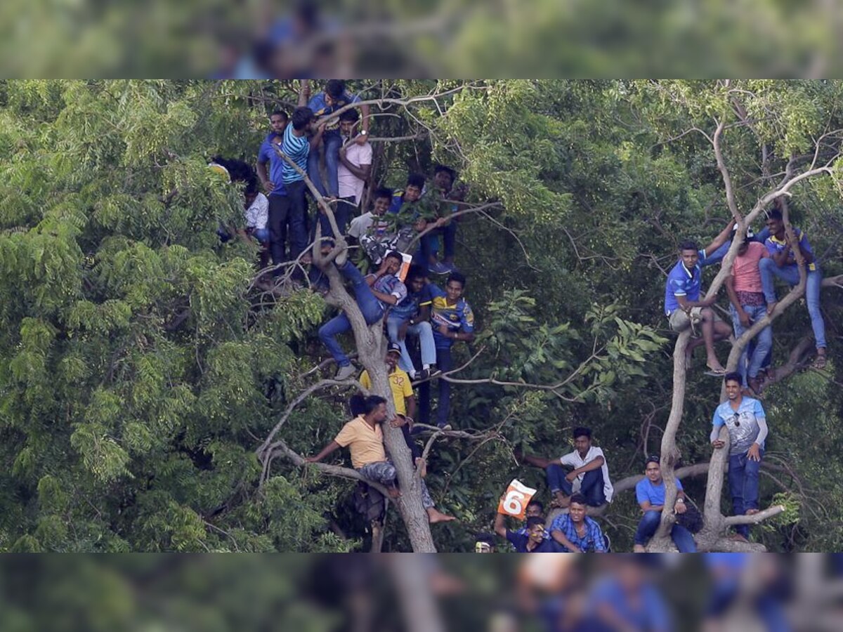श्रीलंका टीम की बस रोककर प्रशंसकों ने जताई नाराजगी (PIC : PTI)