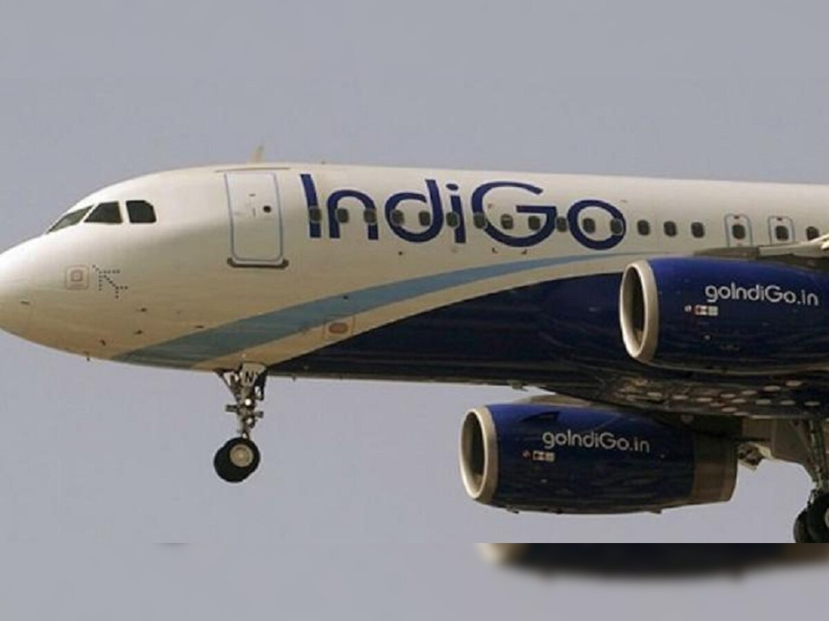 इंडिगो विमान से टकराया पक्षी (फाइल फोटो)