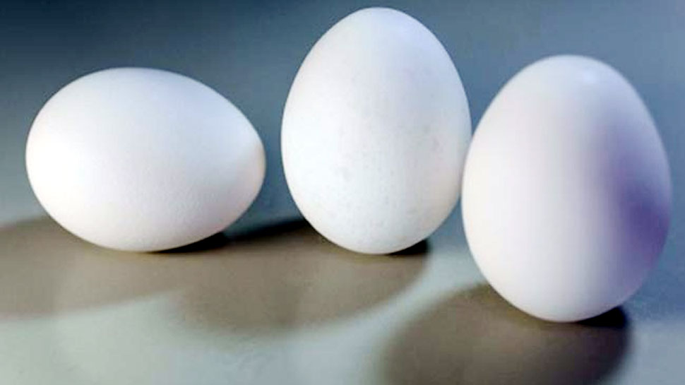 Top five Benefits of eating Egg daily | अंडा शौकीनों के लिए अच्छी खबर,  फायदा पढ़कर चौंक जाएंगे आप | Hindi News, सेहत