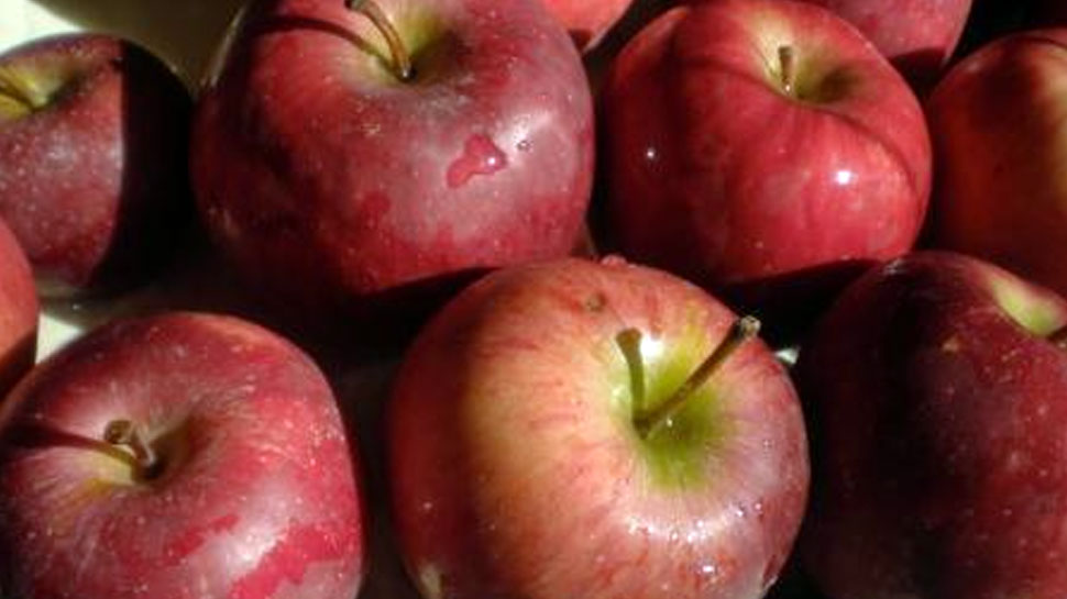 11 Important Benefits of eating Apple everyday 11 Important Benefits of eating Apple everyday