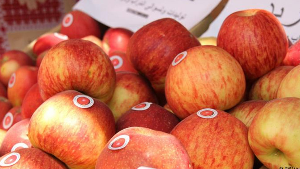 11 Important Benefits of eating Apple everyday 11 Important Benefits of eating Apple everyday