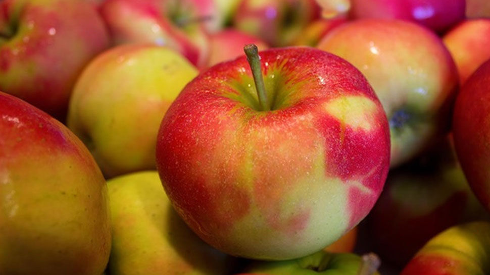 11 Important Benefits of eating Apple everyday 11 Important Benefits of eating Apple everyday