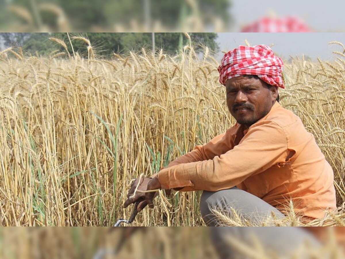 बजट 2018 से किसानों को उम्मीद है कि फसल बीमा की रकम को बढ़ाई जाएगी (फाइल फोटो)