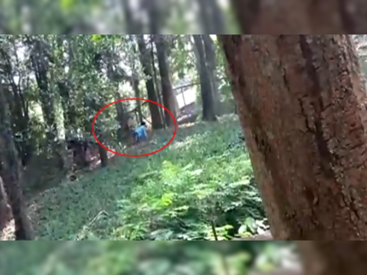 VIDEO: चिड़ियाघर में शेरनी के बाड़े में कूद गया शख्स, रेंगते हुए जा रहा था पास तभी...
