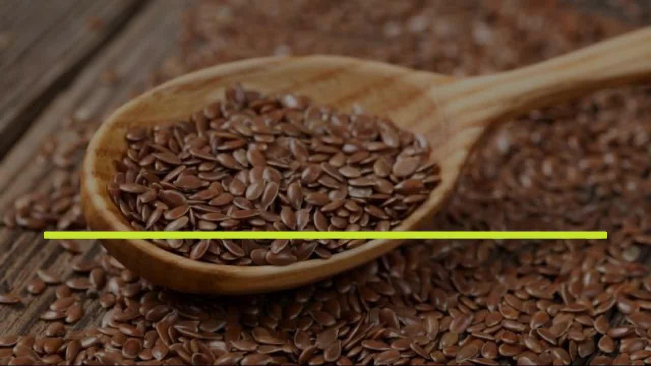 benefits of eating flax seeds अलसी के बीज खाने के 8 फायदे Zee News