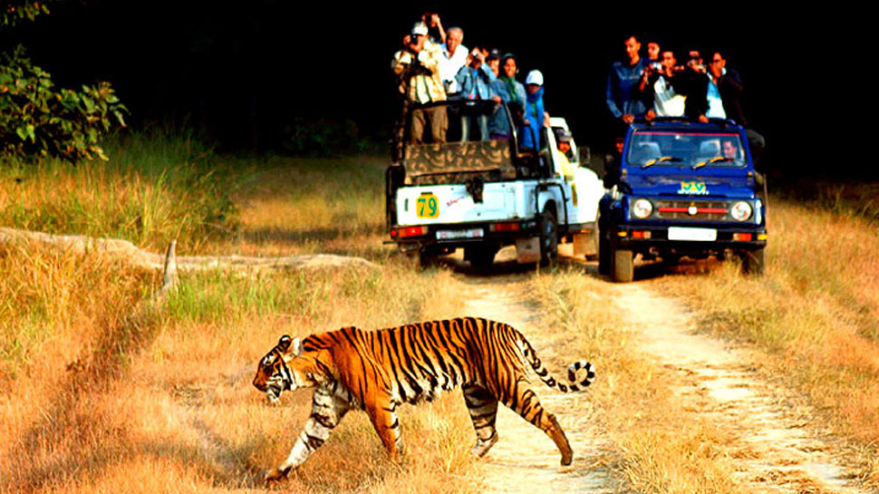UttaraKhand Is The Tourists Favorite Tourist Spot In The Summersfgda UttaraKhand Is The Tourists Favorite Tourist Spot In The Summersfgda