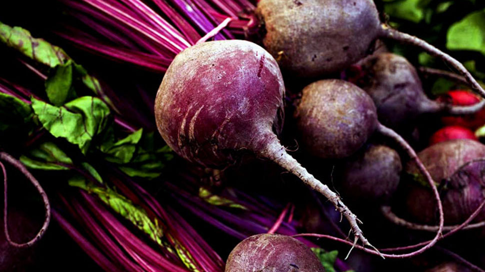 Beetroot is beneficial in many diseases Beetroot is beneficial in many diseases