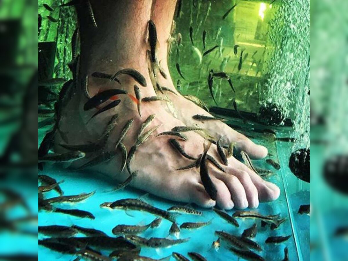 FISH SPA सुंदरता नहीं, यह है खतरे की घंटी, ध्‍यान दें कहीं देर न हो